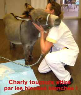 Charly et les blouses blanches